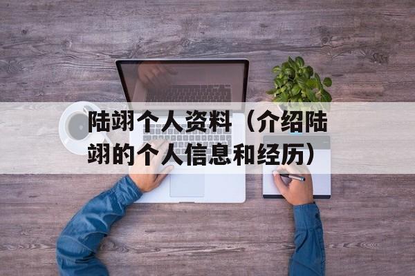 陆翊个人资料（介绍陆翊的个人信息和经历）-第1张图片-