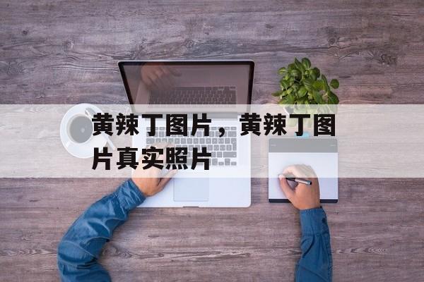 黄辣丁图片，黄辣丁图片真实照片-第1张图片-