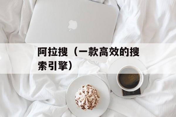 阿拉搜（一款高效的搜索引擎）-第1张图片-