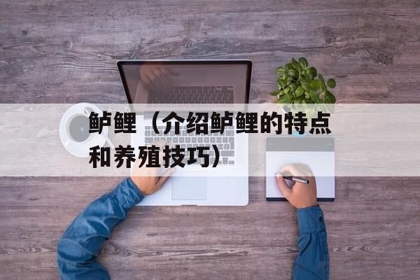 鲈鲤（介绍鲈鲤的特点和养殖技巧）-第1张图片-