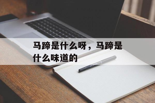 马蹄是什么呀，马蹄是什么味道的-第1张图片-