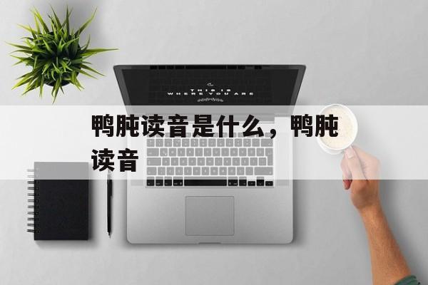 鸭肫读音是什么，鸭肫读音-第1张图片-