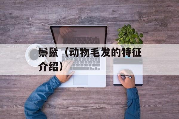 鬃鬣（动物毛发的特征介绍）-第1张图片-