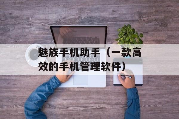 魅族手机助手（一款高效的手机管理软件）-第1张图片-
