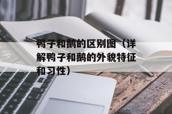 鸭子和鹅的区别图（详解鸭子和鹅的外貌特征和习性）-第1张图片-