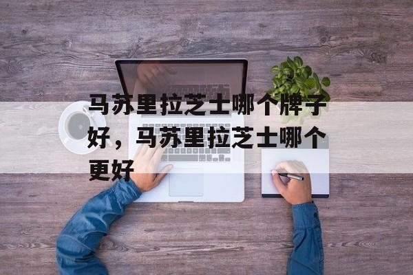 马苏里拉芝士哪个牌子好，马苏里拉芝士哪个更好-第1张图片-