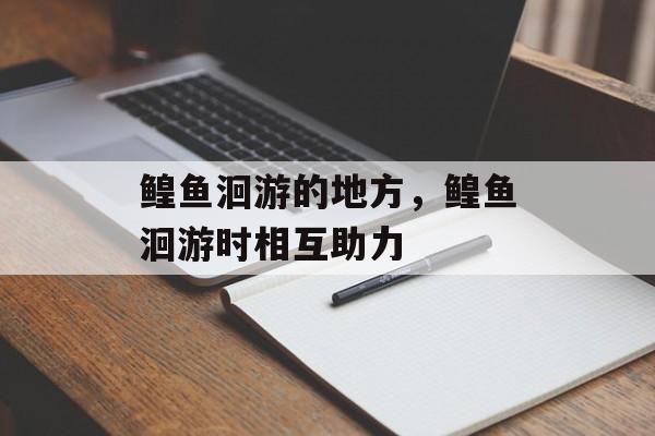 鳇鱼洄游的地方，鳇鱼洄游时相互助力-第1张图片-