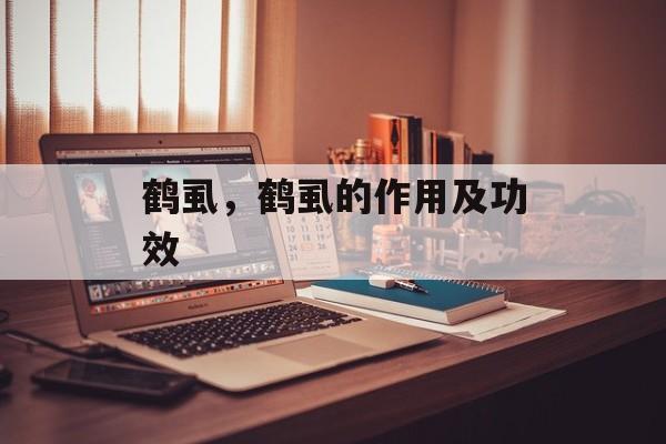 鹤虱，鹤虱的作用及功效-第1张图片-