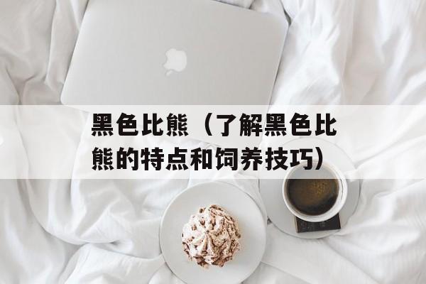 黑色比熊（了解黑色比熊的特点和饲养技巧）-第1张图片-