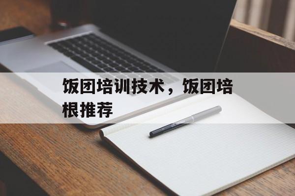 饭团培训技术，饭团培根推荐-第1张图片-