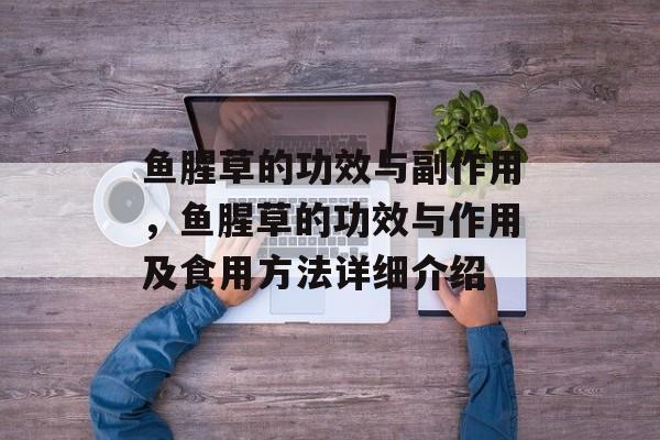 鱼腥草的功效与副作用，鱼腥草的功效与作用及食用方法详细介绍-第1张图片-