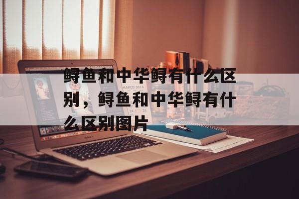 鲟鱼和中华鲟有什么区别，鲟鱼和中华鲟有什么区别图片-第1张图片-