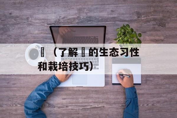 鹡（了解鹡的生态习性和栽培技巧）-第1张图片-