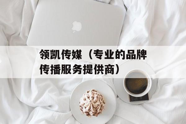 领凯传媒（专业的品牌传播服务提供商）-第1张图片-