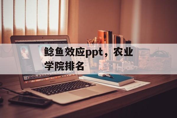 鲶鱼效应ppt，农业学院排名-第1张图片-