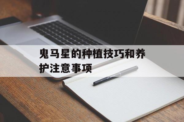 鬼马星的种植技巧和养护注意事项-第1张图片-
