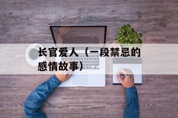长官爱人（一段禁忌的感情故事）-第1张图片-