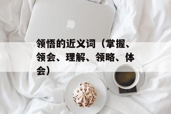 领悟的近义词（掌握、领会、理解、领略、体会）-第1张图片-