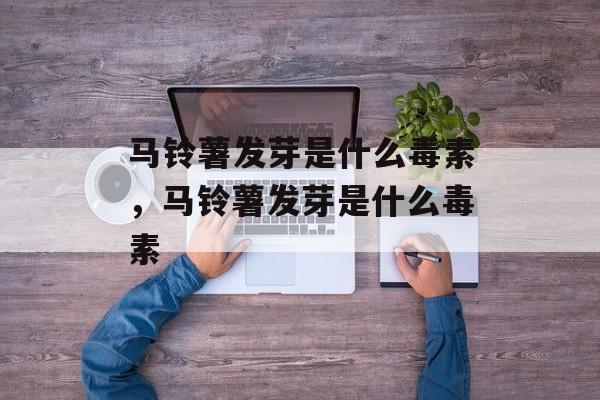 马铃薯发芽是什么毒素，马铃薯发芽是什么毒素-第1张图片-