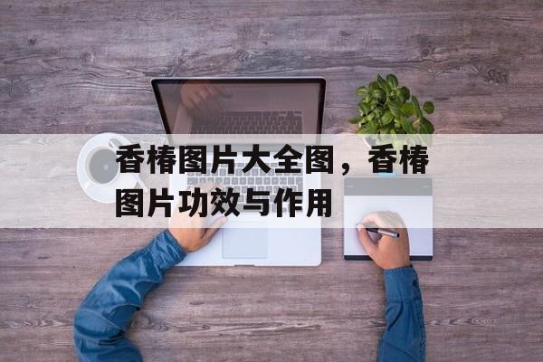 香椿图片大全图，香椿图片功效与作用-第1张图片-