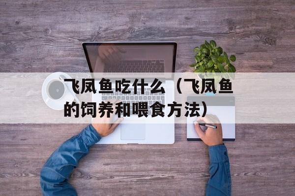飞凤鱼吃什么（飞凤鱼的饲养和喂食方法）-第1张图片-