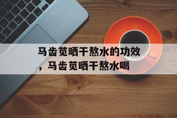 马齿苋晒干熬水的功效，马齿苋晒干熬水喝-第1张图片-