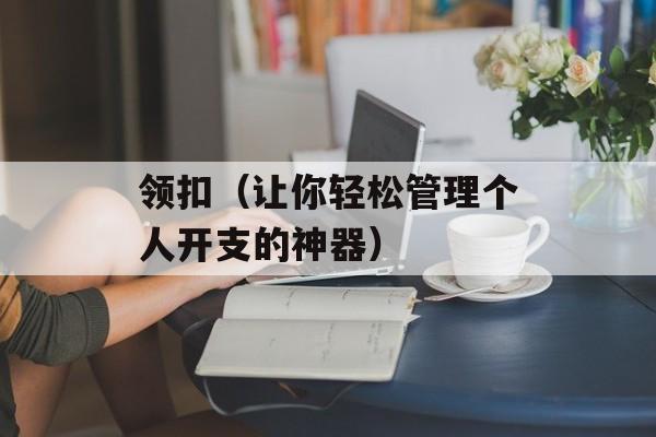 领扣（让你轻松管理个人开支的神器）-第1张图片-