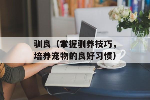 驯良（掌握驯养技巧，培养宠物的良好习惯）-第1张图片-