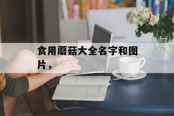 食用蘑菇大全名字和图片，-第1张图片-