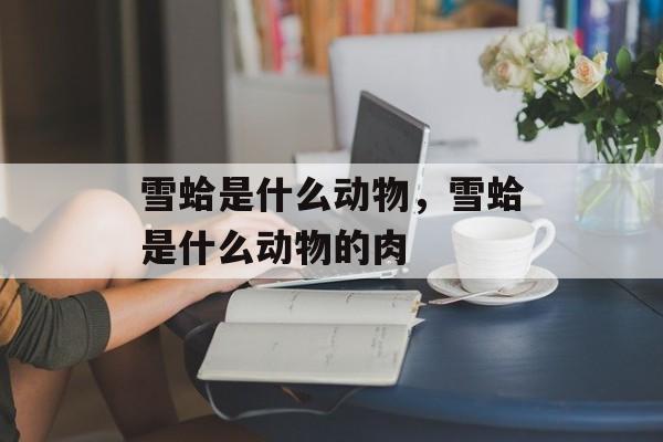 雪蛤是什么动物，雪蛤是什么动物的肉-第1张图片-