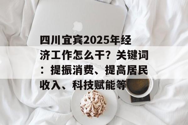 四川宜宾2025年经济工作怎么干？关键词：提振消费、提高居民收入、科技赋能等-第1张图片-