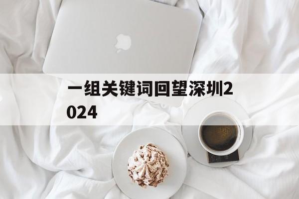 一组关键词回望深圳2024-第1张图片-
