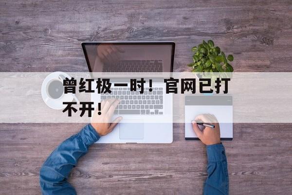 曾红极一时！官网已打不开！-第1张图片-
