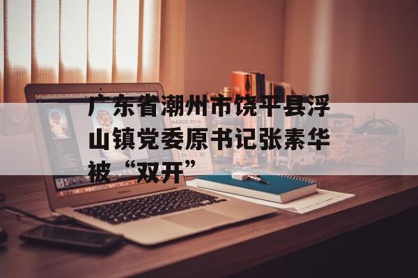 广东省潮州市饶平县浮山镇党委原书记张素华被“双开”-第1张图片-