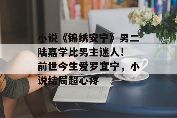 小说《锦绣安宁》男二陆嘉学比男主迷人！ 前世今生爱罗宜宁，小说结局超心疼-第1张图片-