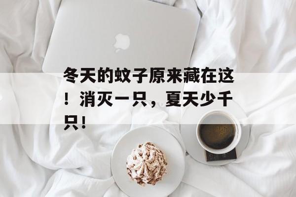 冬天的蚊子原来藏在这！消灭一只，夏天少千只！-第1张图片-