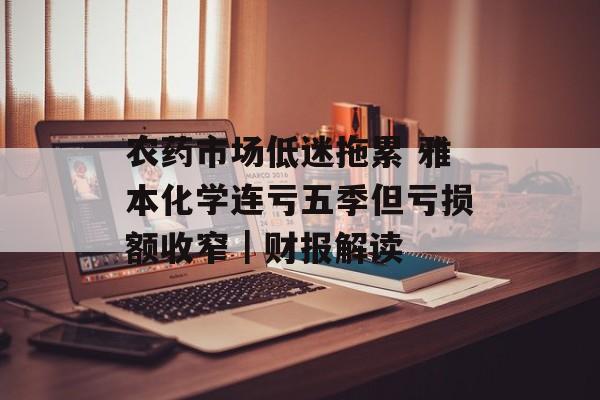 农药市场低迷拖累 雅本化学连亏五季但亏损额收窄｜财报解读-第1张图片-