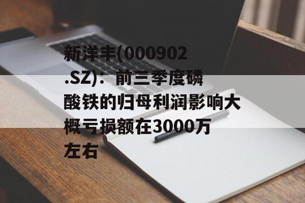 新洋丰(000902.SZ)：前三季度磷酸铁的归母利润影响大概亏损额在3000万左右-第1张图片-