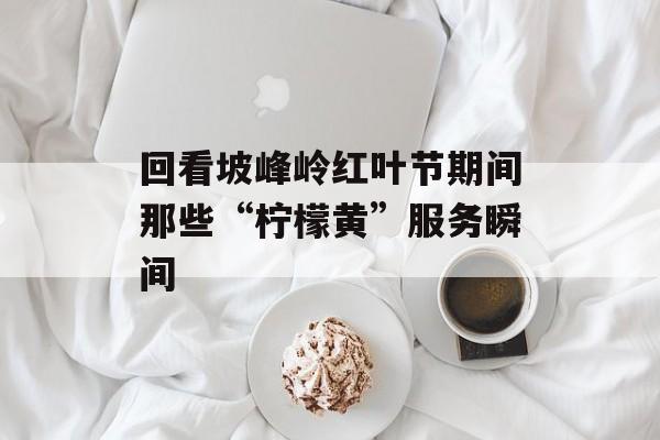 回看坡峰岭红叶节期间那些“柠檬黄”服务瞬间-第1张图片-