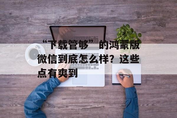 “下载管够”的鸿蒙版微信到底怎么样？这些点有爽到-第1张图片-