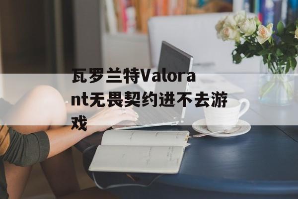 瓦罗兰特Valorant无畏契约进不去游戏-第1张图片-