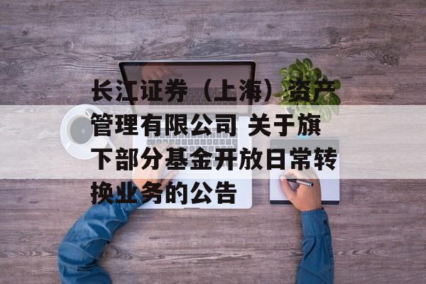 长江证券（上海）资产管理有限公司 关于旗下部分基金开放日常转换业务的公告-第1张图片-