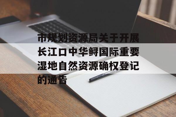 市规划资源局关于开展长江口中华鲟国际重要湿地自然资源确权登记的通告-第1张图片-