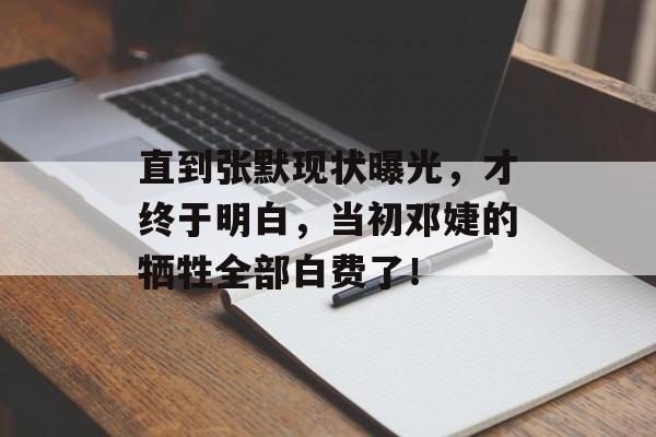 直到张默现状曝光，才终于明白，当初邓婕的牺牲全部白费了！-第1张图片-