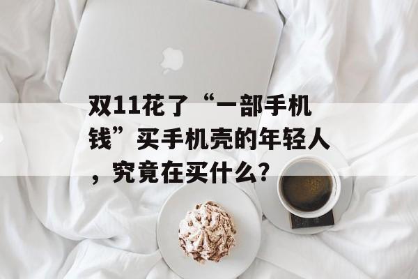 双11花了“一部手机钱”买手机壳的年轻人，究竟在买什么？-第1张图片-