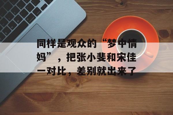 同样是观众的“梦中情妈”，把张小斐和宋佳一对比，差别就出来了-第1张图片-