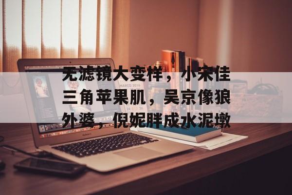 无滤镜大变样，小宋佳三角苹果肌，吴京像狼外婆，倪妮胖成水泥墩-第1张图片-