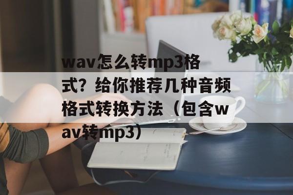 wav怎么转mp3格式？给你推荐几种音频格式转换方法（包含wav转mp3）-第1张图片-