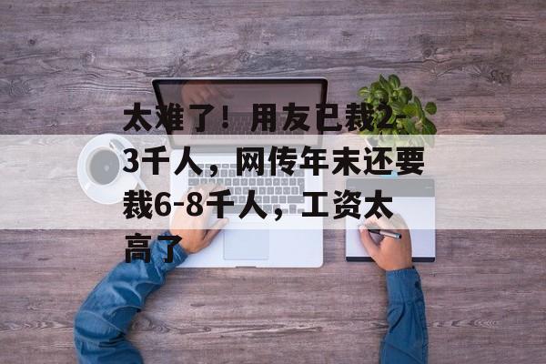 太难了！用友已裁2-3千人，网传年末还要裁6-8千人，工资太高了-第1张图片-