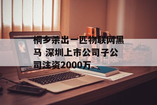 桐乡杀出一匹物联网黑马 深圳上市公司子公司注资2000万-第1张图片-